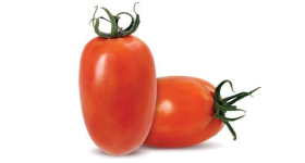 Tomate Rasteiro 1 Kg un - Mussato